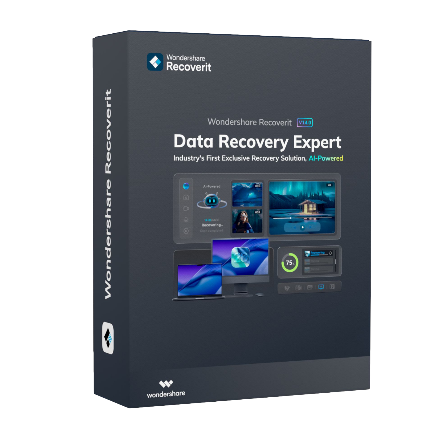Wondershare Recoverit Individual License for Windows Perpetual License
